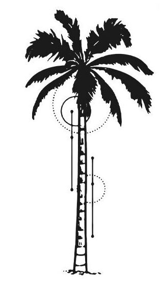 coconut tree