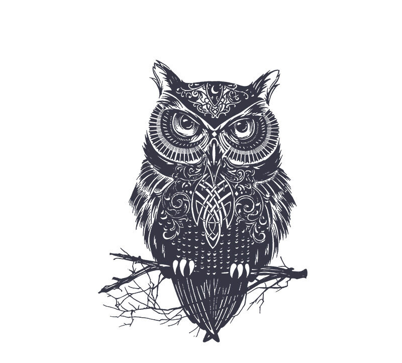 stationary owl